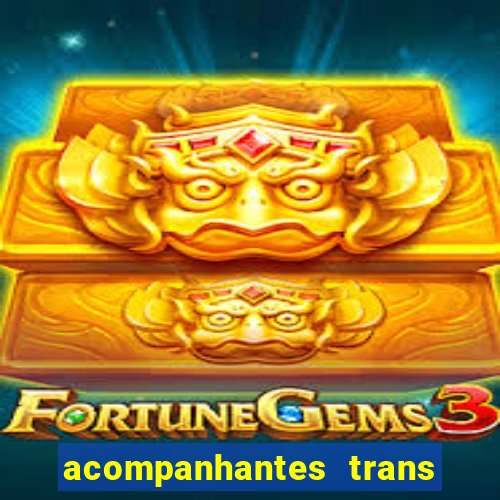 acompanhantes trans baixada fluminense